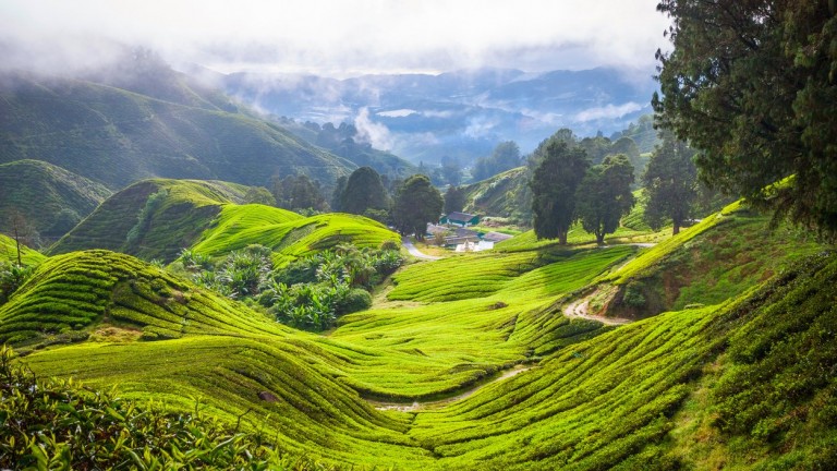 В Азия откриха дом за страдащи от бърнаут Gen Z