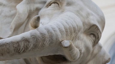 Една от бивните на статуя на Бернини в Рим е счупена по неизвестни засега причини