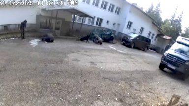 Прокуратурата официално поиска помощ от САЩ и Европол по случая "Петрохан"