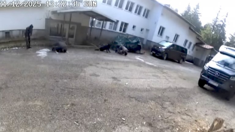 Прокуратурата официално поиска помощ от САЩ и Европол по случая "Петрохан"