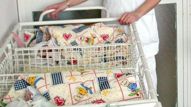 80 бебета са родени за 1 г. с подкрепата на общинската инвитро програма във Варна