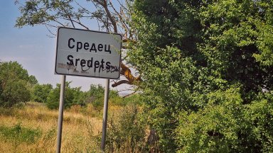 От "Възраждане" внесоха документи за референдум в Средец срещу бежански център