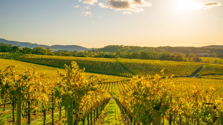 Топ 9 места за романтична почивка за двойки