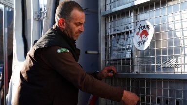 Мечките от Аржентина Гордо и Флоренция кацнаха в София на път за парка в Белица (снимки)