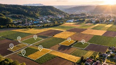 Фермерите наддават онлайн за земя на Агрион