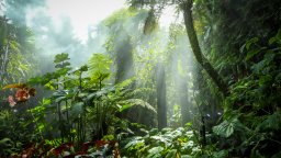 "Заваля дъжд и не спря 2 милиона години" - любопитни климатични епизоди в историята