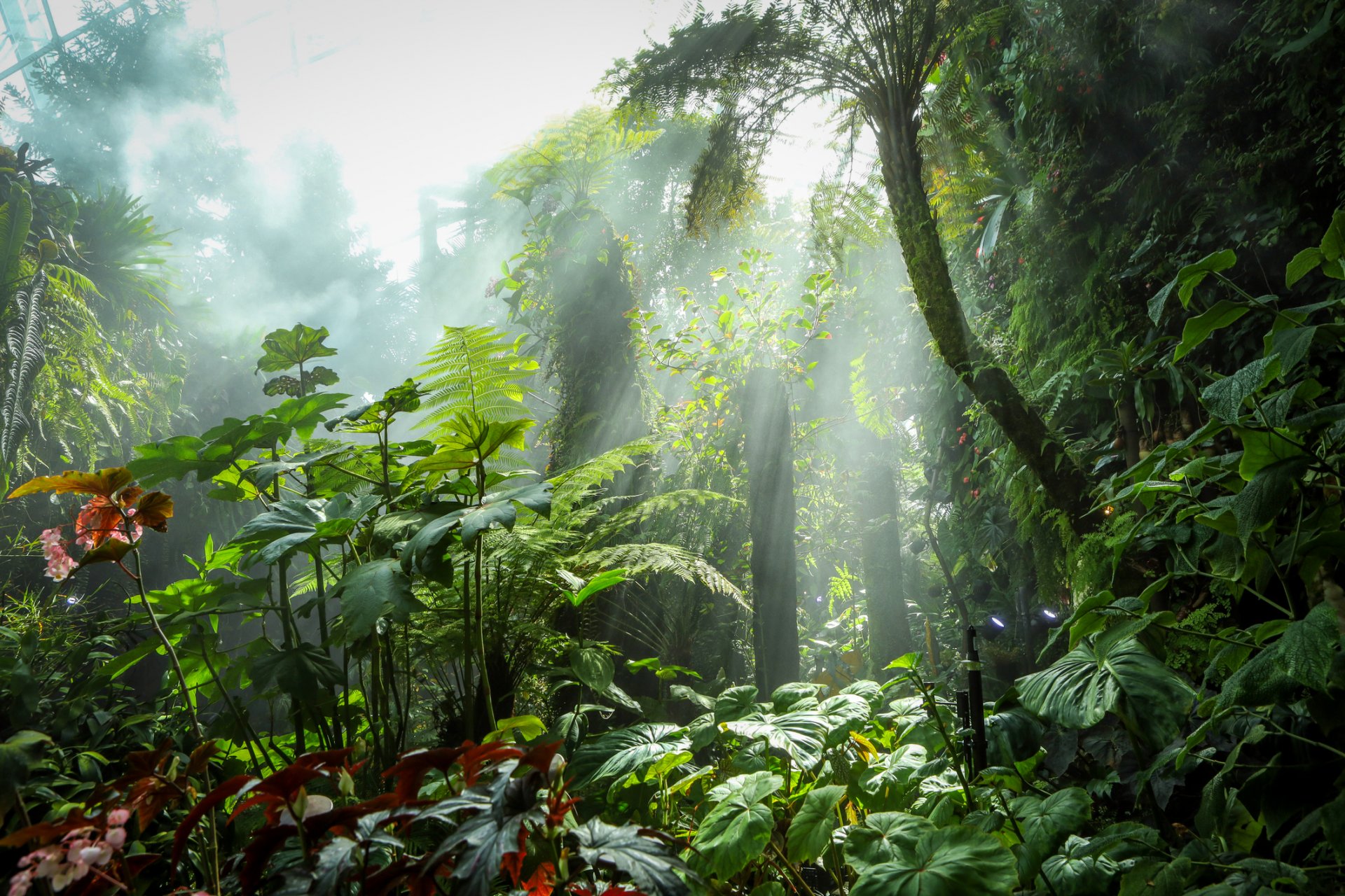 "Заваля дъжд и не спря 2 милиона години" - любопитни климатични епизоди в историята
