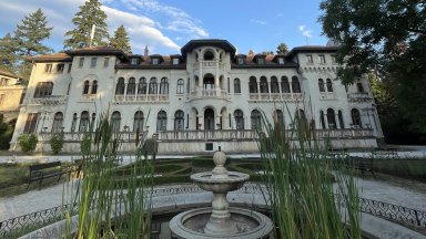 Пеевски спира с мораториум общината да вземе "Врана", Терзиев: "Алчна кокошка, просо сънува"