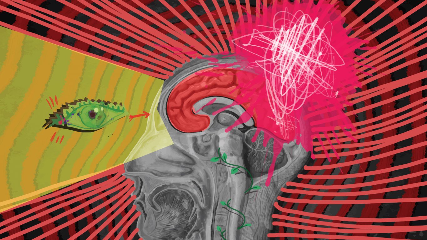 САЩ тествали енергийното оръжие зад "Хаванския синдром" върху животни