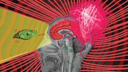 САЩ тествали енергийното оръжие зад "Хаванския синдром" върху животни