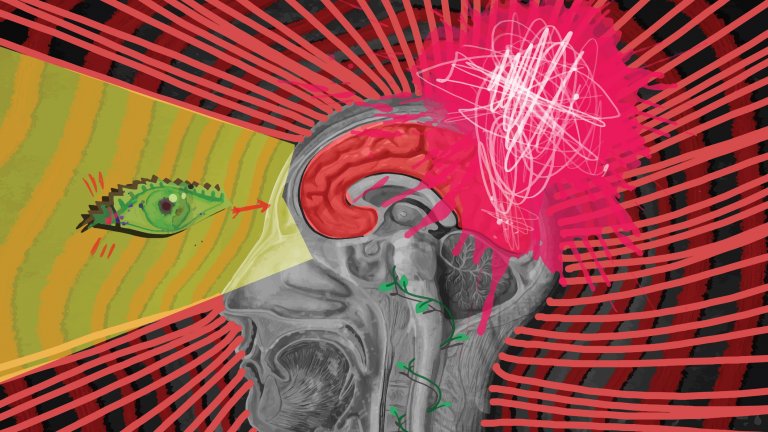 САЩ тествали енергийното оръжие зад "Хаванския синдром" върху животни