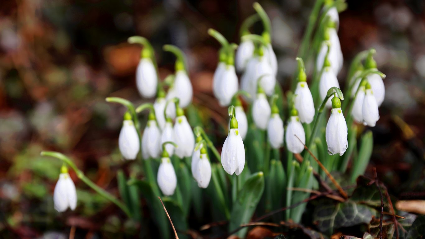 Прогноза за времето на НИМХ от 16 март