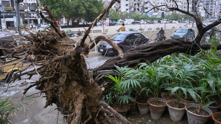 Срутени стени, покриви, изкоренени дървета и най-малко 15 жертви след мощна буря в Пакистан (снимки)