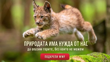 WWF − една от най-големите природозащитни организации у нас, навърши 20 години