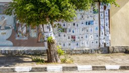 От какво умираме в България?