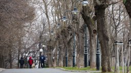 Започва сезонна обработка срещу кърлежи и гризачи в Бургас