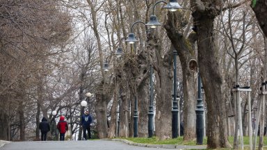 Започва сезонна обработка срещу кърлежи и гризачи в Бургас