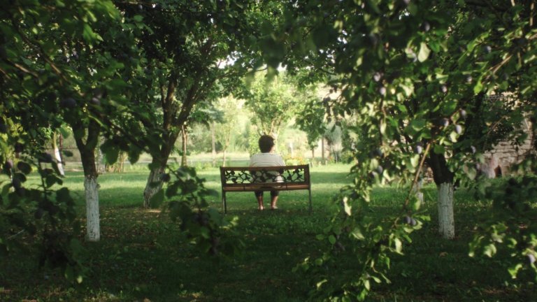 "Няма как да си кажем сбогом" показва сблъсъкът на личната история и институциите