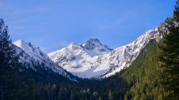  "Какво? Швейцария ли?“, не - Мальовица