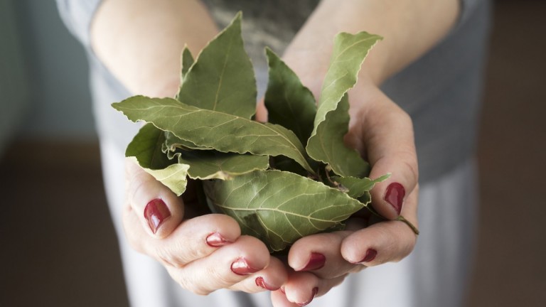 Тази подправка укрепва имунната система и подпомага храносмилането