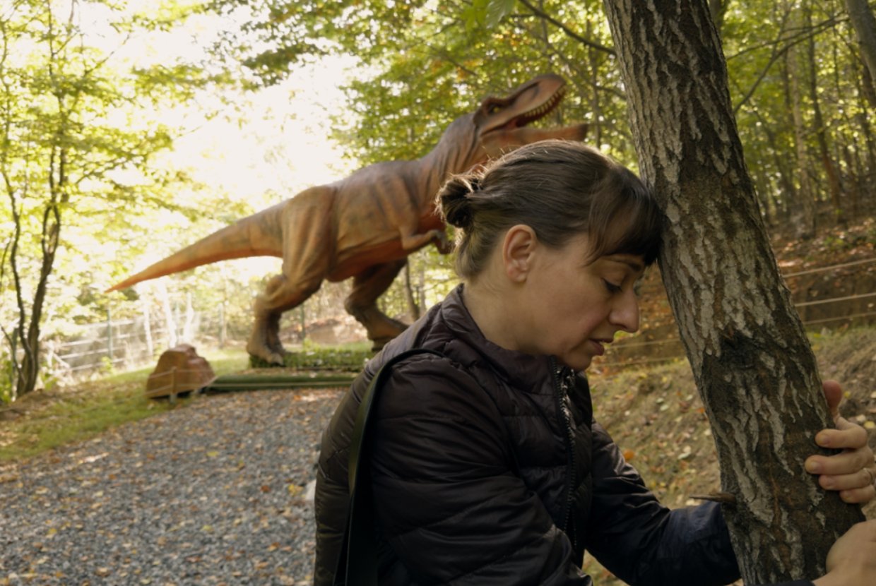 Континентал 25