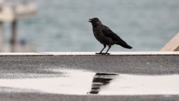 След топлото време днес, предстои влошаване, валежи и понижение на температурите