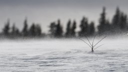 Опасно време в планините днес, спасиха трима туристи под Вихрен