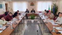 Общинският съвет в Две могили прие годишния отчет за бездомните кучета