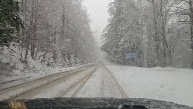 Диана Русинова: На прохода "Петрохан" е снежен ад (снимки/видео)
