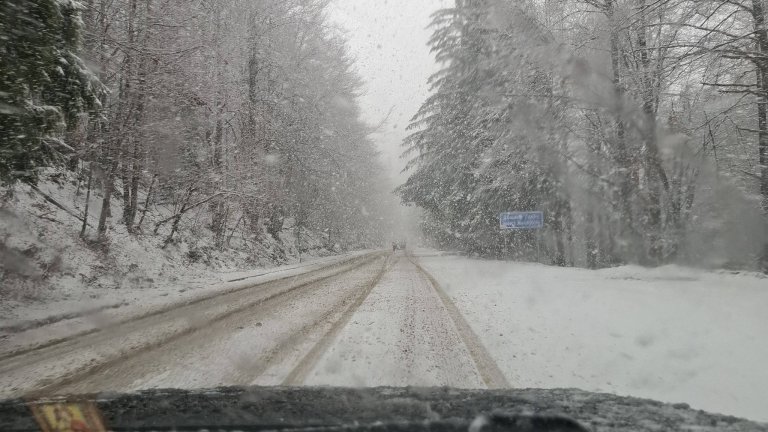 Диана Русинова: На прохода "Петрохан" е снежен ад (снимки/видео)