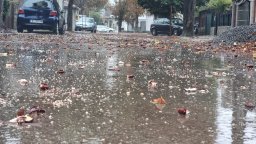 Прогноза на националния институт по метеорология и хидрология: Ветровито, хладно, с превалявания