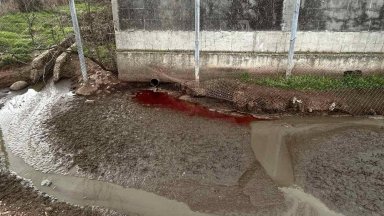 Кръв и отпадни води потекоха в река Лесидренска, БАБХ предупреждава за риск от патогени