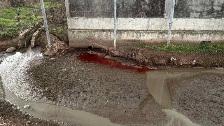 Кръв и отпадни води потекоха в река Лесидренска, БАБХ предупреждава за риск от патогени
