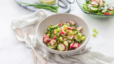 Свежа пролетна салата с репички и краставици