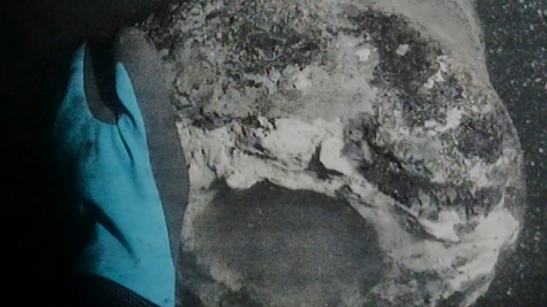 Откриха останките от военен кораб, потопен от адмирал Нелсън през 1801 г.