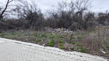 Седмицата на гората отбелязва труда на всички лесовъди, всички доброволци, началото и на академичната общност, каза министър Христанов