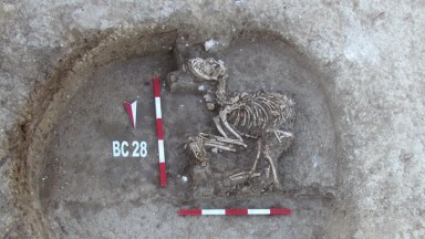 По следите на кучето в Древна Тракия