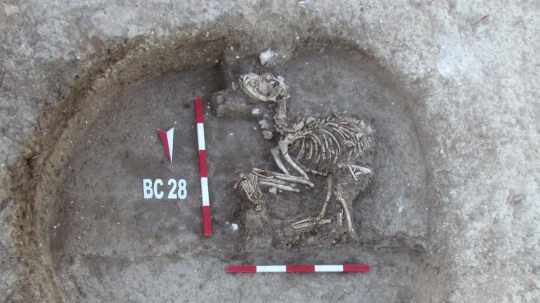 По следите на кучето в Древна Тракия