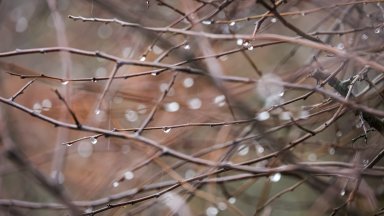 Постепенното захлаждане продължава, утре ще има и валежи