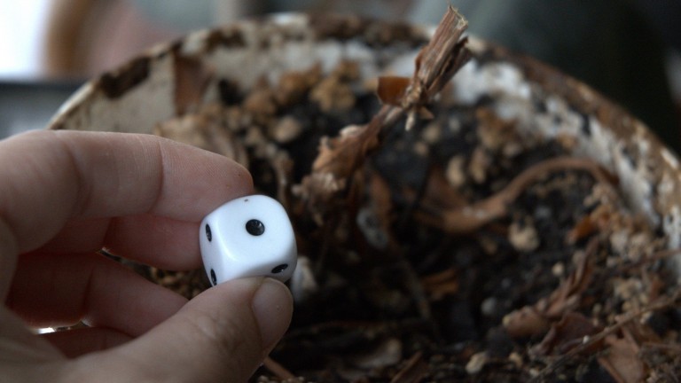 Индианците са изобретили заровете и игрите на късмета преди повече от 12 000 години