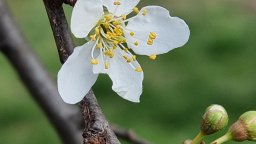 Прогноза за времето на НИМХ: Дъжд, сняг, слани, но след това постепенно затопляне