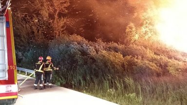 Огромен пожар в хърватски резерват застраши хиляди защитени птици (видео/снимки)
