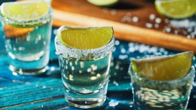 Колко бутилки текила се получават от едно растение агаве