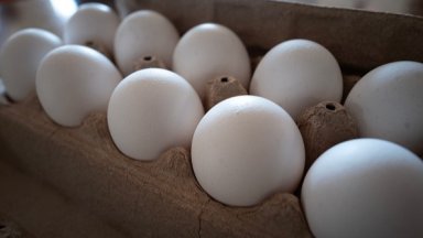 БАБХ спря вноса на 1,3 млн. яйца от Турция