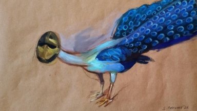 PARANOID от Стефан Петрунов