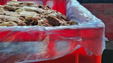 БАБХ откри 36 тона месо без произход и фрапираща мръсотия в кланица до Пловдив