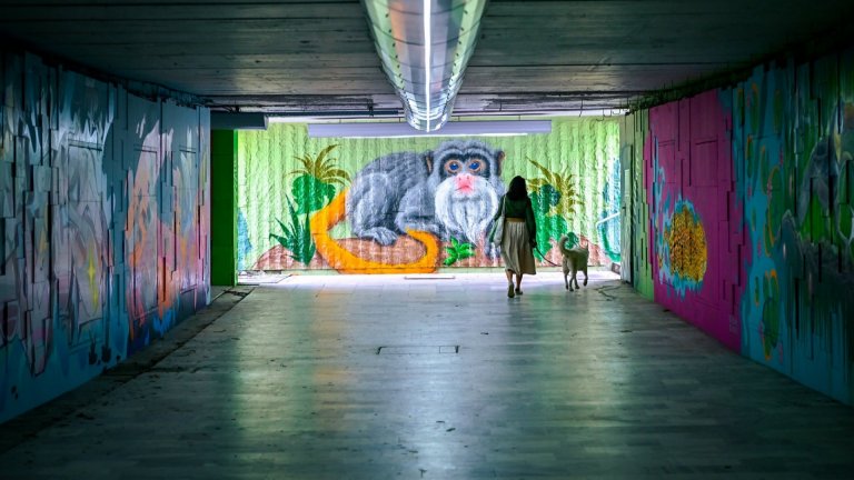 От "джунгла" до галерия: Обновиха подлеза на "Цариградско шосе" и "Александър Жендов" (снимки)