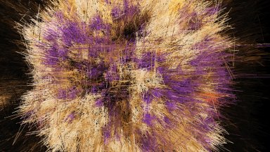 Изложбата "Човешкият алгоритъм" изследва взаимодействието между човека и дигиталните системи