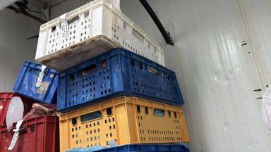 БАХБ затвори още две нередовни кланици