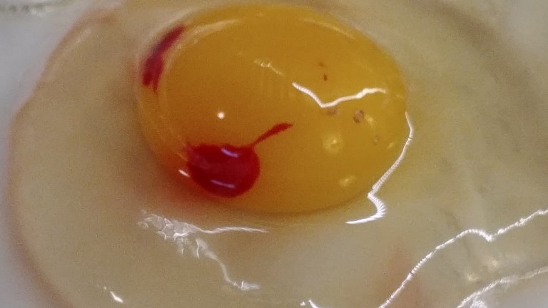 Безопасно ли е да се ядат яйца с червени петна на върха на жълтъка?